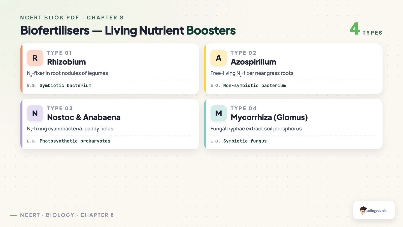 Biofertilisers Living Nutrient Boosters — Class 12 Biology Chapter 8 Microbes in Human Welfare