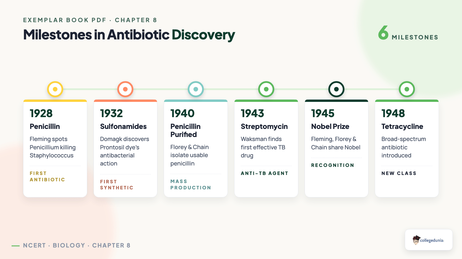 Milestones in Antibiotic Discovery — Class 12 Biology Chapter 8 Microbes in Human Welfare
