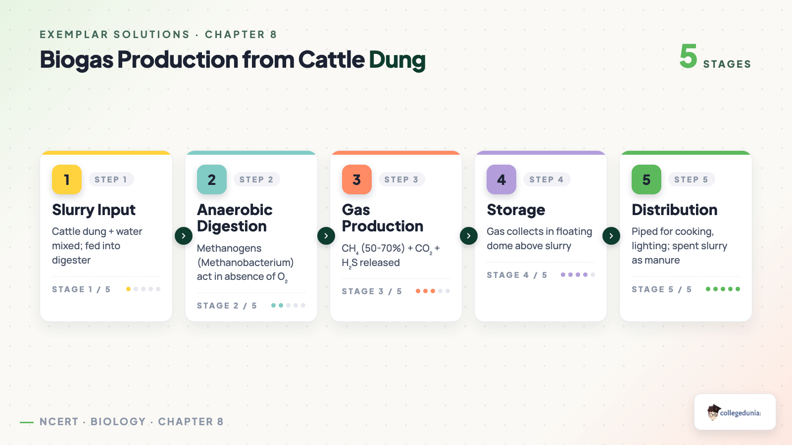 Biogas Production from Cattle Dung — Class 12 Biology Chapter 8 Microbes in Human Welfare