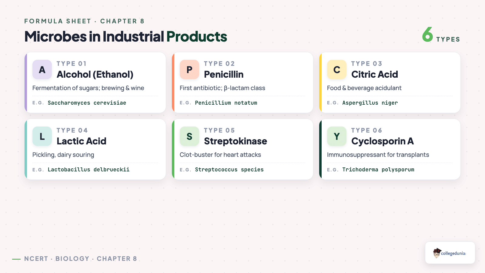 Microbes in Industrial Products — Class 12 Biology Chapter 8 Microbes in Human Welfare