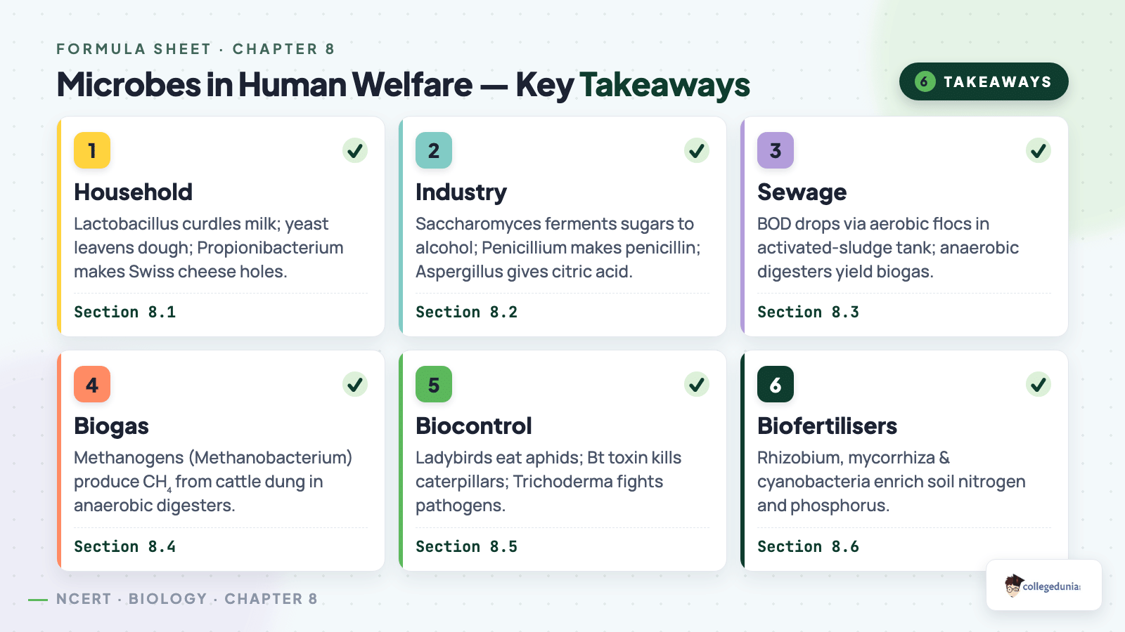 Microbes in Human Welfare Key Takeaways — Class 12 Biology Chapter 8