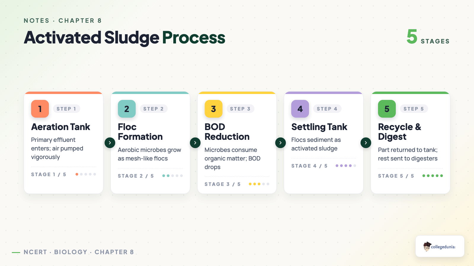 Activated Sludge Process — Class 12 Biology Chapter 8 Microbes in Human Welfare