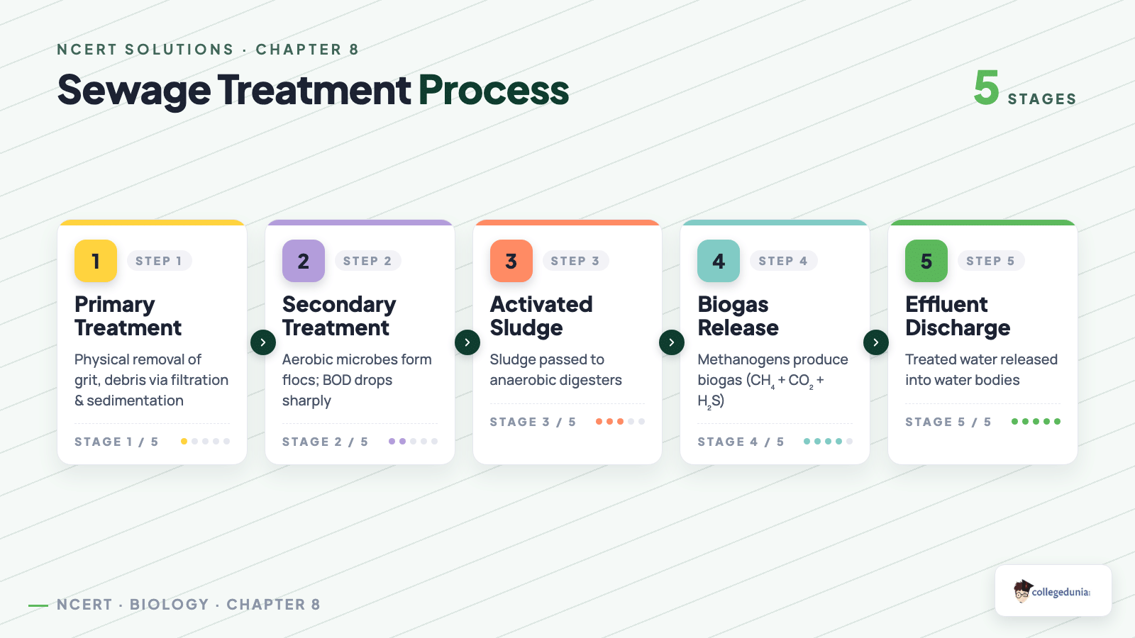 Sewage Treatment Process — Class 12 Biology Chapter 8 Microbes in Human Welfare