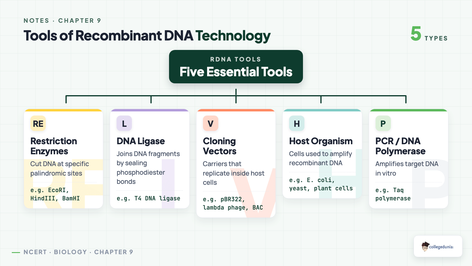 Tools of Recombinant DNA Technology - Class 12 Biology Chapter 9