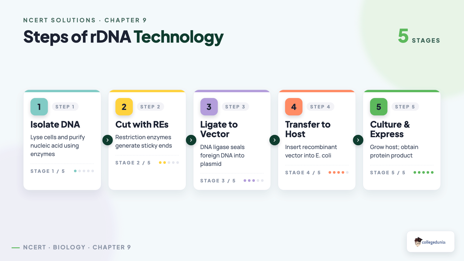 Steps of rDNA Technology - Class 12 Biology Chapter 9