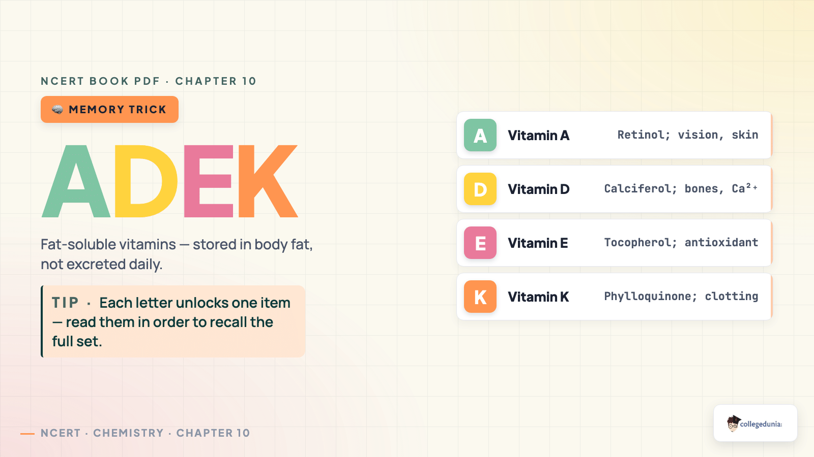Fat-Soluble Vitamins ADEK Mnemonic - Class 12 Chemistry Biomolecules