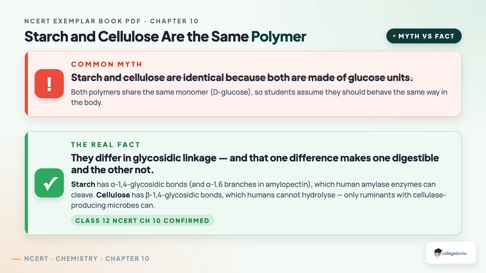 Starch vs Cellulose Myth Buster - Class 12 Chemistry Biomolecules