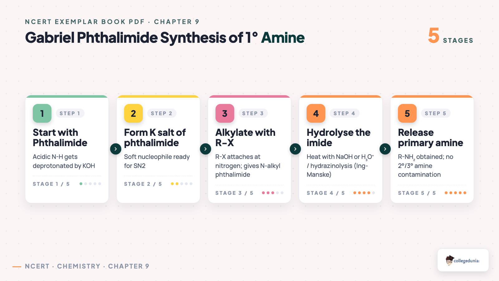 Gabriel phthalimide synthesis process flow for preparing primary amines — Class 12 Chemistry Chapter 9
