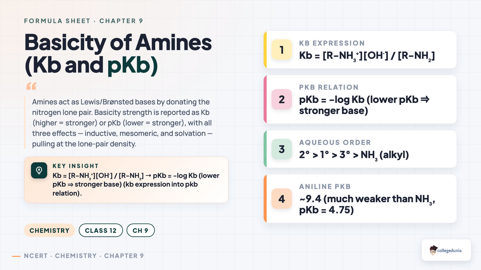 Basicity Kb pKb definition and amine basicity orders in water and gas phase — Class 12 Chemistry Chapter 9