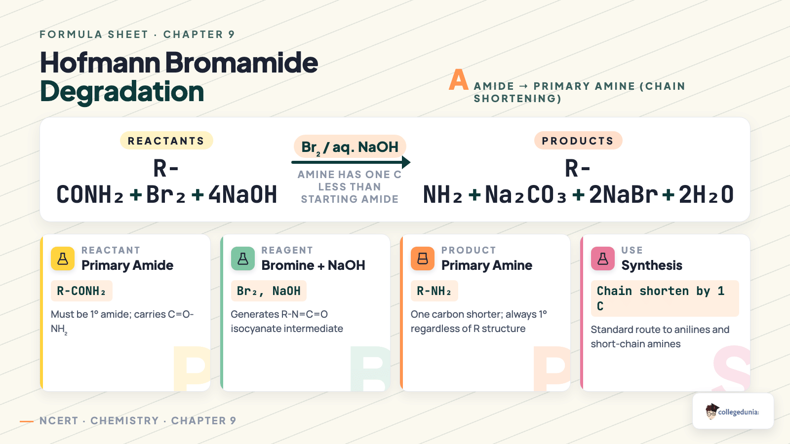 Hofmann bromamide degradation converting amide to primary amine with one less carbon — Class 12 Chemistry Chapter 9