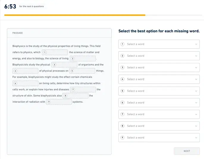 Duolingo exam pattern