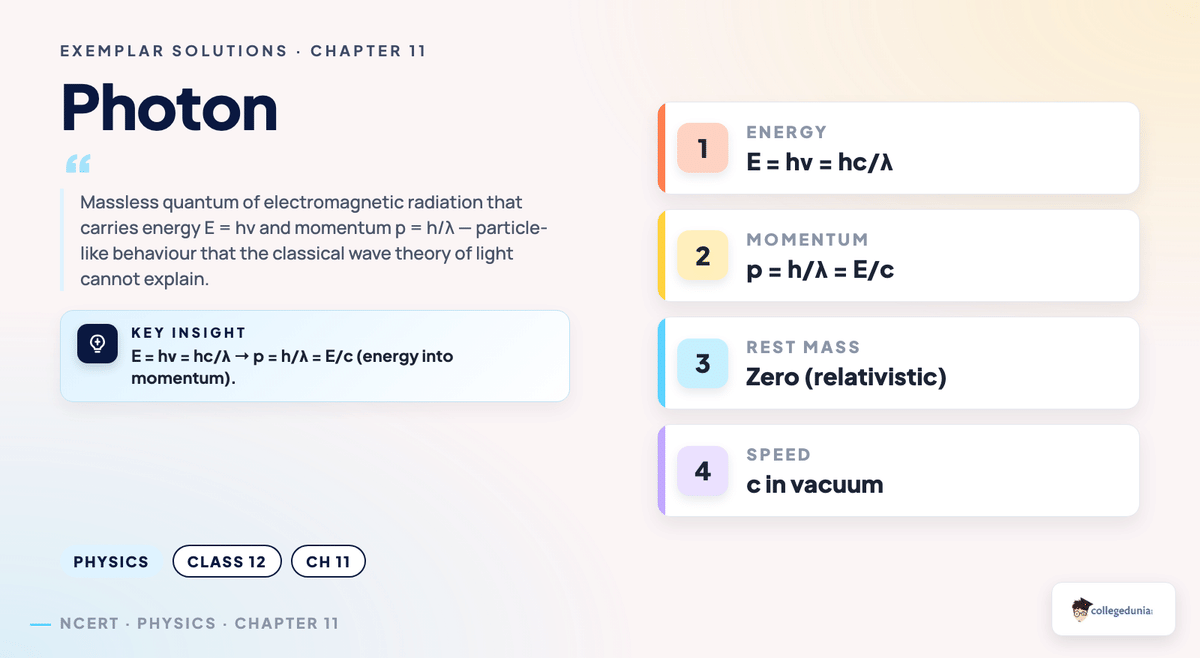Class 12 Physics Chapter 11 Dual Nature of Radiation and Matter Exemplar Solutions — key concept visual