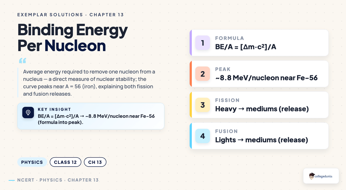 Class 12 Physics Chapter 13 Nuclei Exemplar Solutions — key concept visual