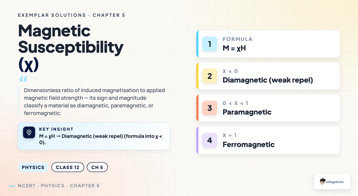 Class 12 Physics Chapter 5 Magnetism and Matter Exemplar Solutions — key concept visual