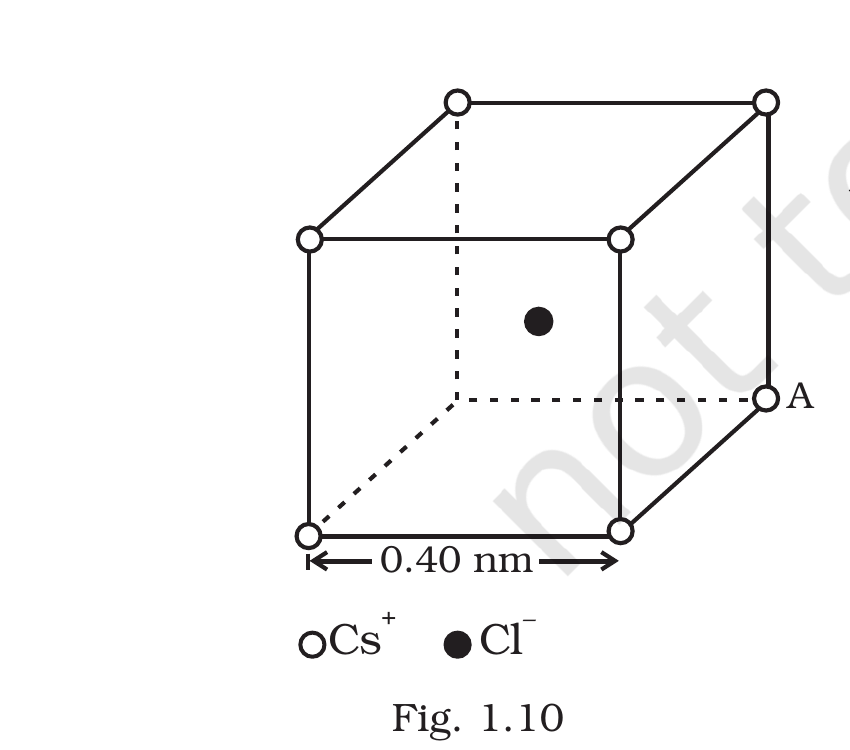 Fig. 1.10, Exemplar Class 12 Physics Ch 1.