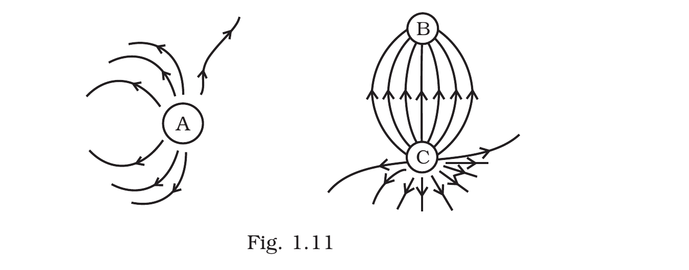 Fig. 1.11, Exemplar Class 12 Physics Ch 1.