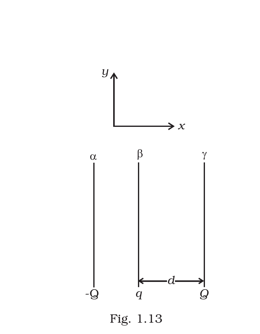 Fig. 1.13, Exemplar Class 12 Physics Ch 1.