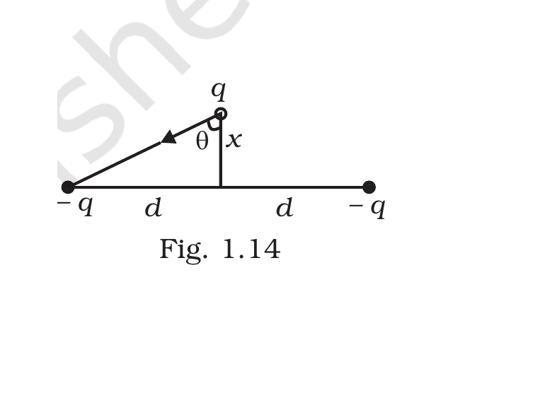 Fig. 1.14, Exemplar Class 12 Physics Ch 1.