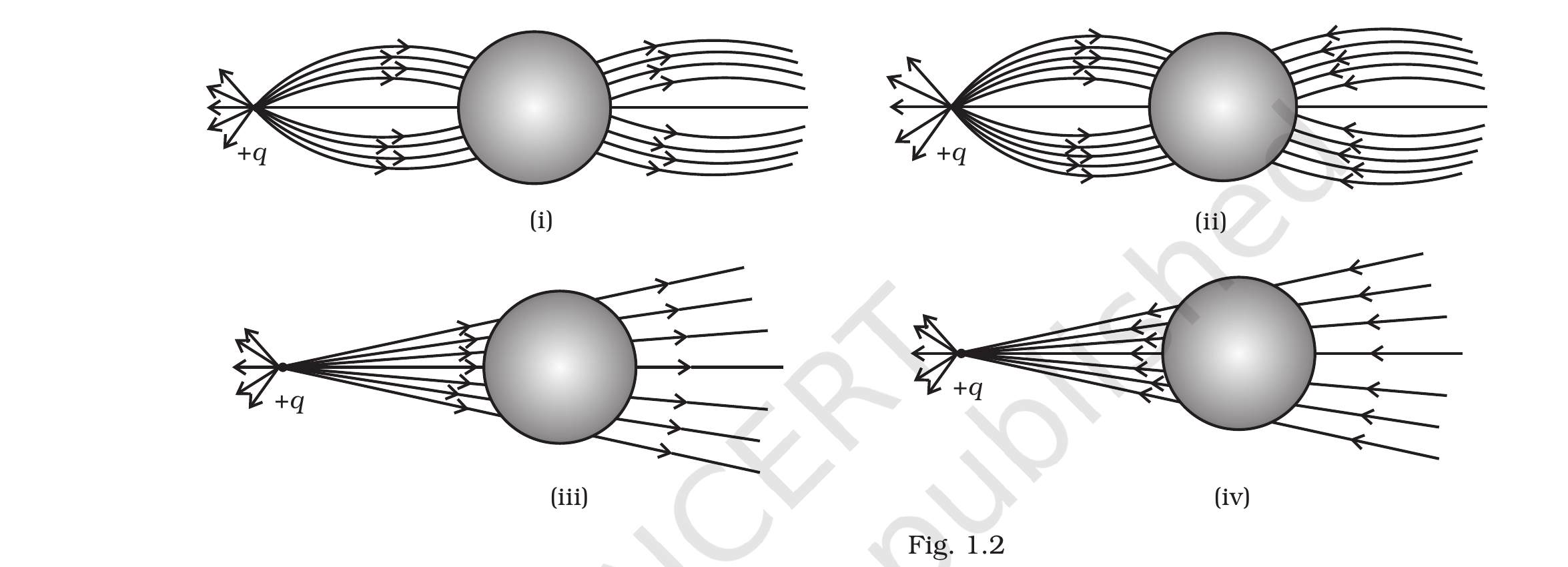 Fig. 1.2, Exemplar Class 12 Physics Ch 1.