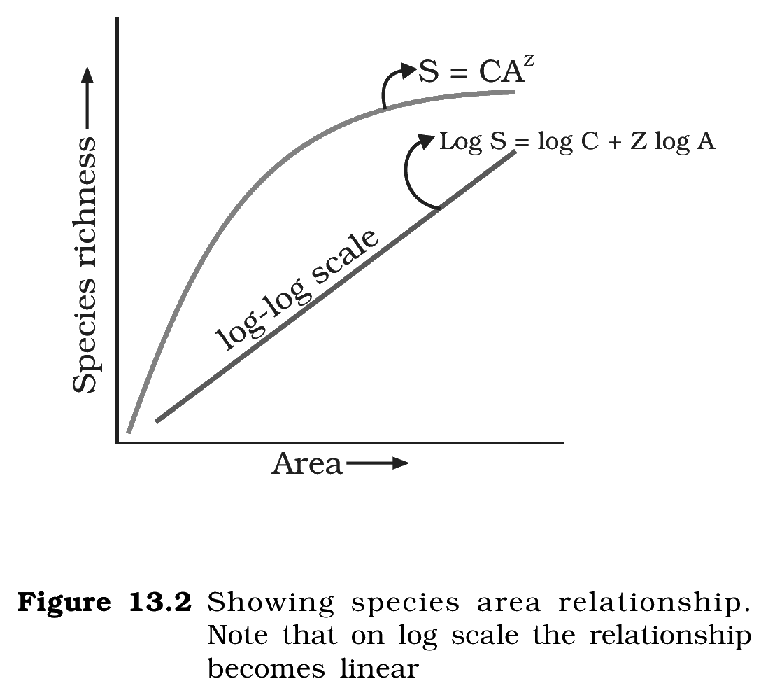 Fig.&nbsp;13.2, NCERT Class 12 Biology, Chapter 13. Species-area relationship: rectangular hyperbola on the arithmetic scale, straight line on the log-log scale.