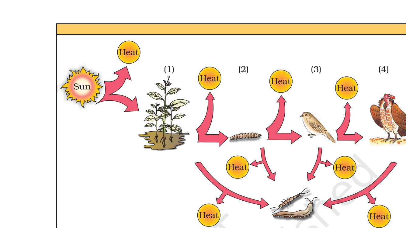 Fig. 14.15, NCERT Exemplar Class 12 Biology, Chapter 14 Ecosystem.