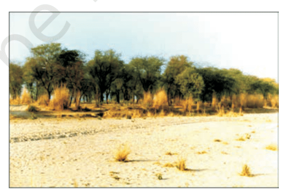 Fig. 14.18, NCERT Exemplar Class 12 Biology, Chapter 14 Ecosystem.