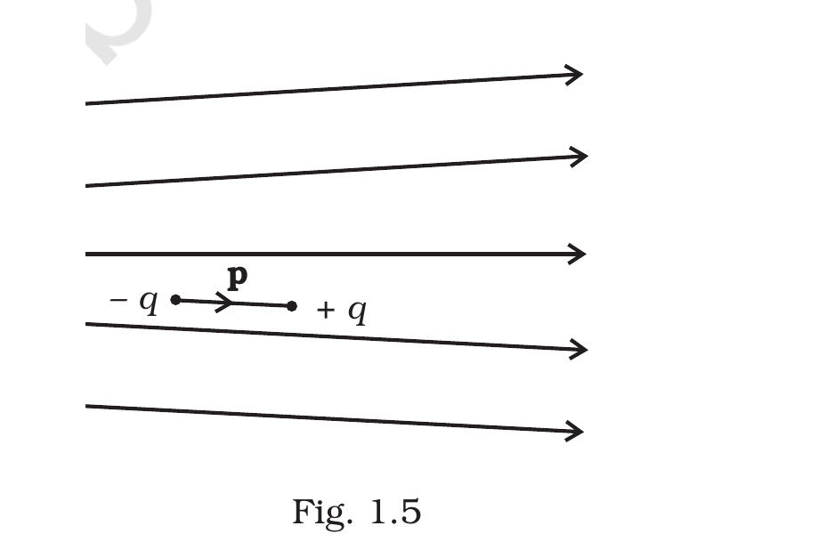 Fig. 1.5, Exemplar Class 12 Physics Ch 1.