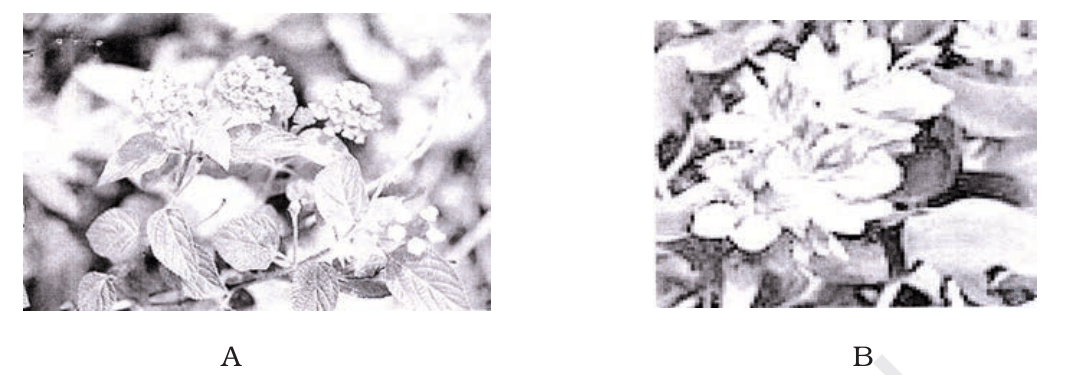 Fig. 15.1, NCERT Exemplar Class 12 Biology,
Chapter 15.