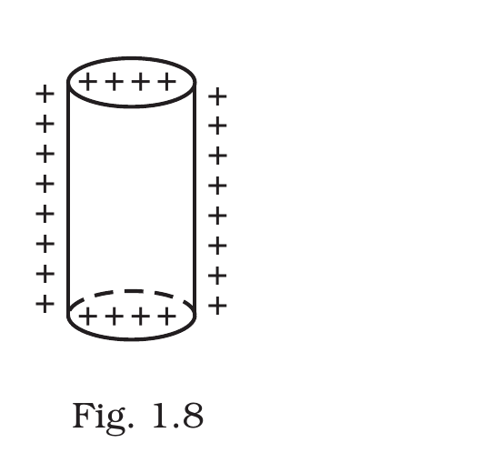 Fig. 1.8, Exemplar Class 12 Physics Ch 1.