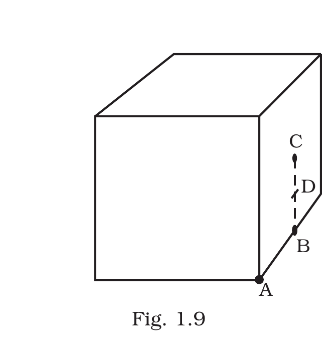 Fig. 1.9, Exemplar Class 12 Physics Ch 1.