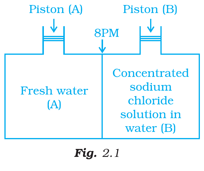Fig. 2.1, NCERT Exemplar Class 12 Chemistry, Chapter 1.