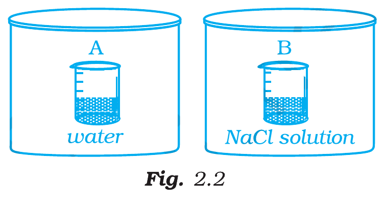 Fig. 2.2, NCERT Exemplar Class 12 Chemistry, Chapter 1.
