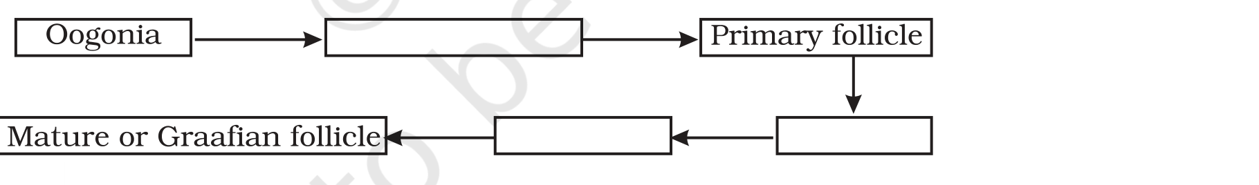 Source flow chart, NCERT Exemplar Class 12 Biology, Chapter 3 Human Reproduction (VSA Q9).