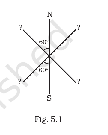 Fig.&nbsp;5.1, NCERT Exemplar Class 12 Physics, Chapter 5.