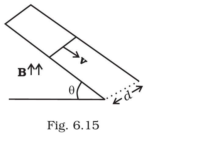 Fig.&nbsp;6.15, NCERT Exemplar Class 12 Physics, Chapter 6.