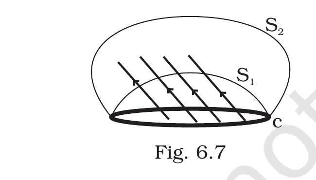 Fig.&nbsp;6.7, NCERT Exemplar Class 12 Physics, Chapter 6.