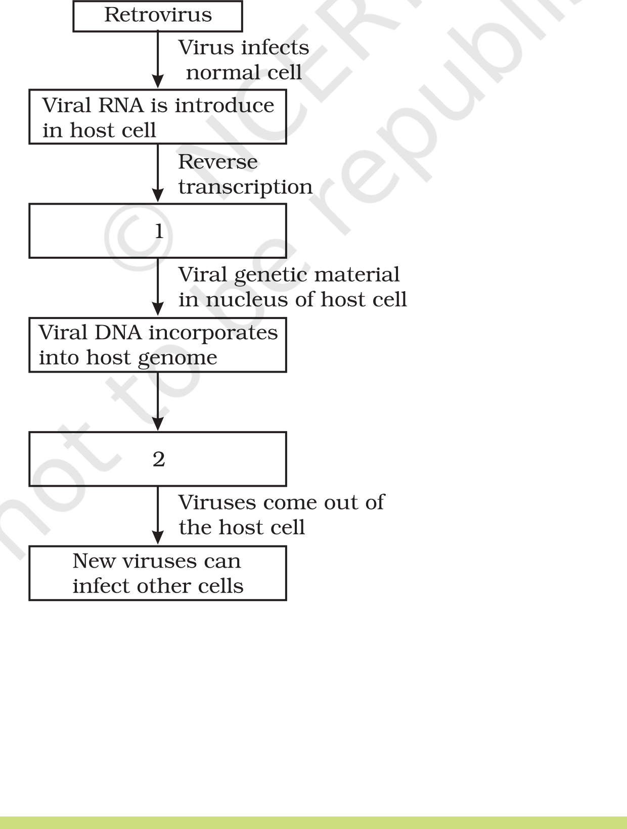 Fig. 8.2 (NCERT Exemplar Class 12 Biology Chapter 8): flow of retrovirus replication.