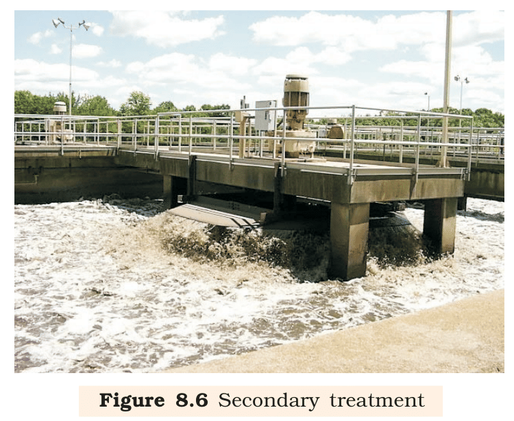Fig 8.6 – Secondary (biological) treatment: aeration tanks where aerobic microbes form flocs and consume the organic matter. NCERT Class 12 Biology, Chapter 8.
