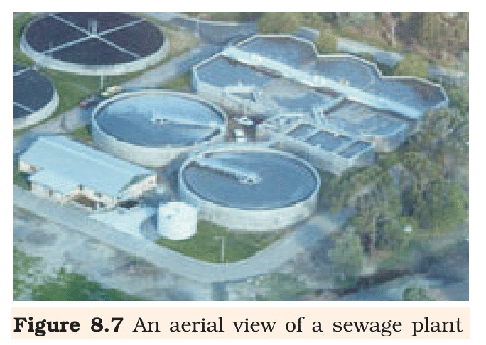 Fig 8.7 – Aerial view of a typical sewage treatment plant (NCERT Class 12 Biology, Chapter 8).