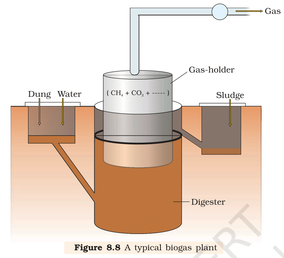 Fig 8.8 – A typical biogas (gobar-gas) plant. Dung is mixed with water and fed into the digester; methanogens release CH4 + CO2 +  that collects under the gas-holder dome. The spent slurry is removed as fertiliser. NCERT Class 12 Biology, Chapter 8.
