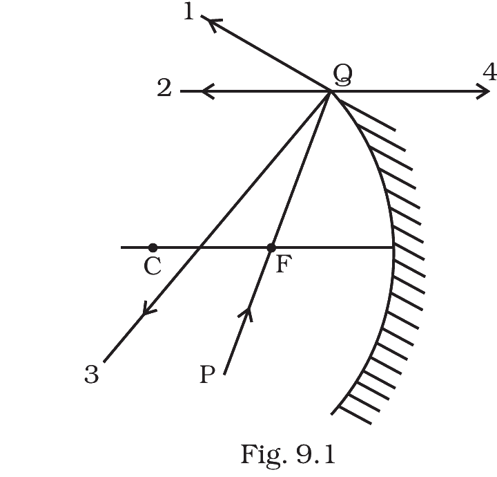 Fig. 9.1, NCERT Exemplar Class 12 Physics, Chapter 9.