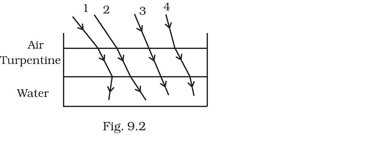Fig. 9.2, NCERT Exemplar Class 12 Physics, Chapter 9.