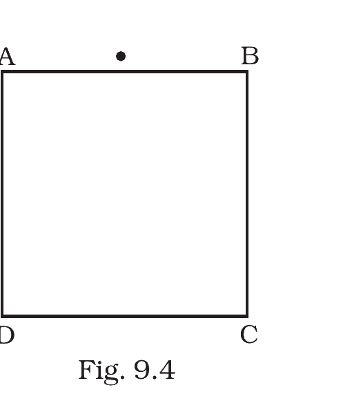 Fig. 9.4, NCERT Exemplar Class 12 Physics, Chapter 9.
