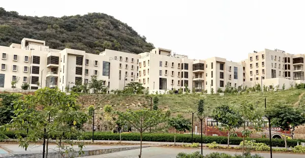 IIMV Images