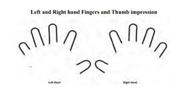 NEET Thumb Impressions Guidelines 2026