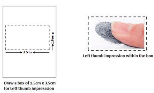 NEET PG 2026 Thumb Impression Guidelines