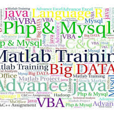 Institute of Professional Studies VTIPS . photo 3