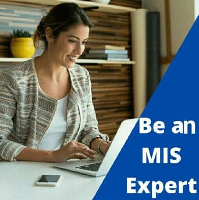 MIS and Analytics consultants Images photo 2