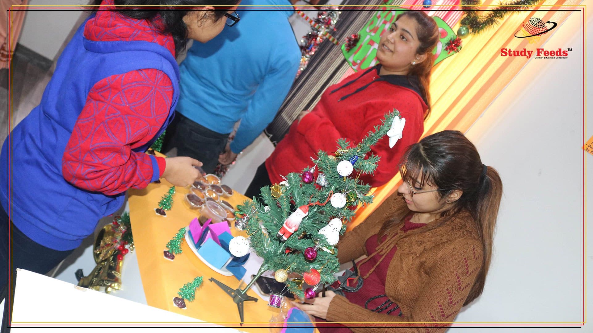 Study Feeds Study Feeds photo 1