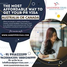 SANDPIPER VISAS Pictures photo 1